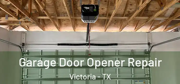  Garage Door Opener Repair Victoria - TX